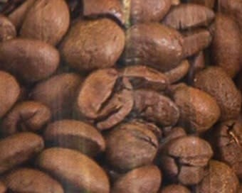 Grãos de café torrado, de perto